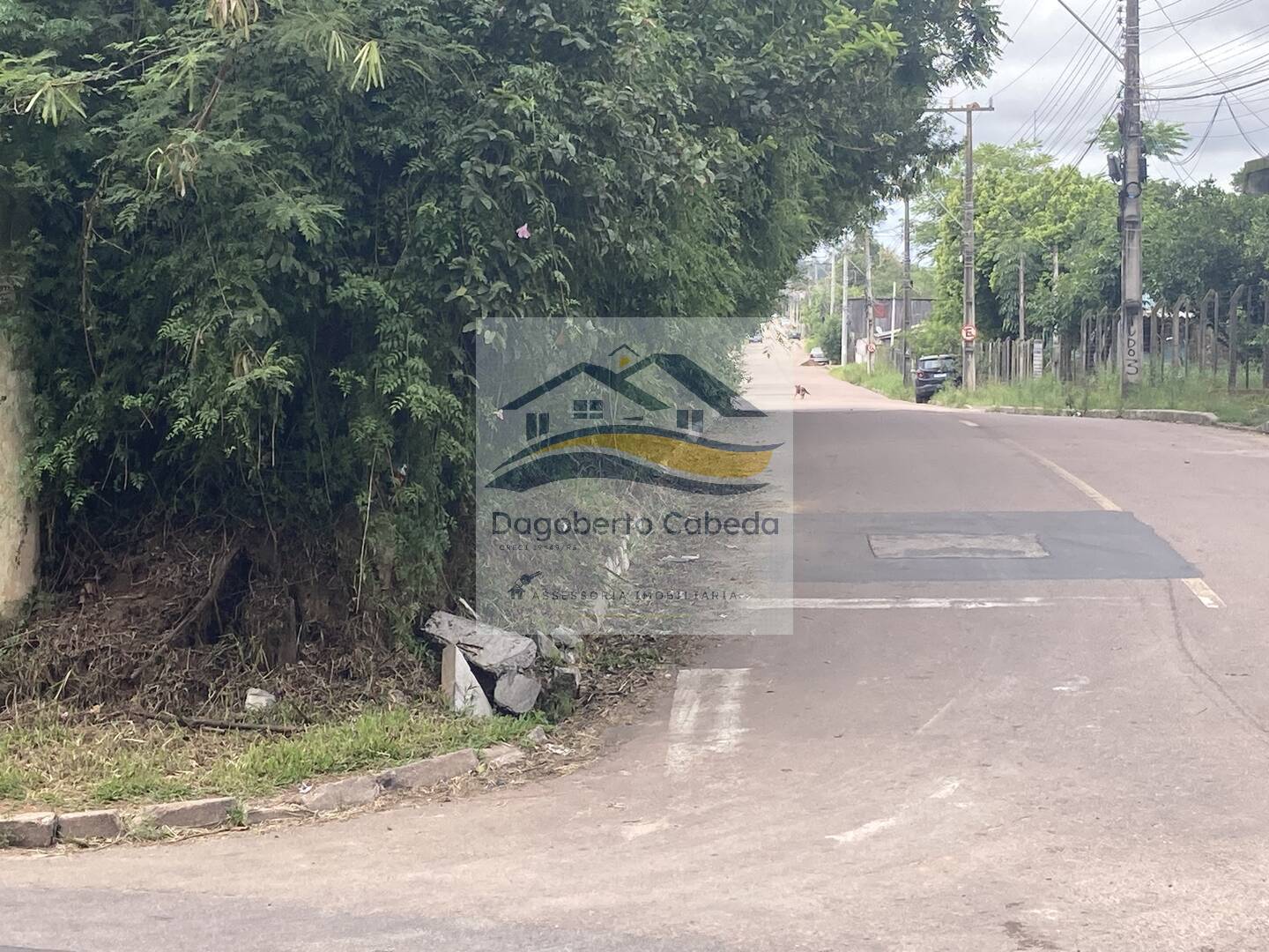 Terreno à venda - Foto 4