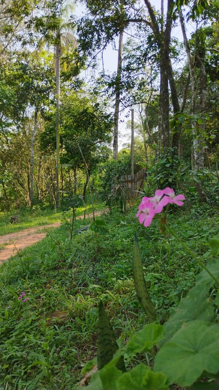 Terreno à venda, 4000m² - Foto 1