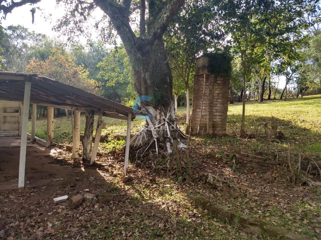 Fazenda à venda com 3 quartos, 9000m² - Foto 9