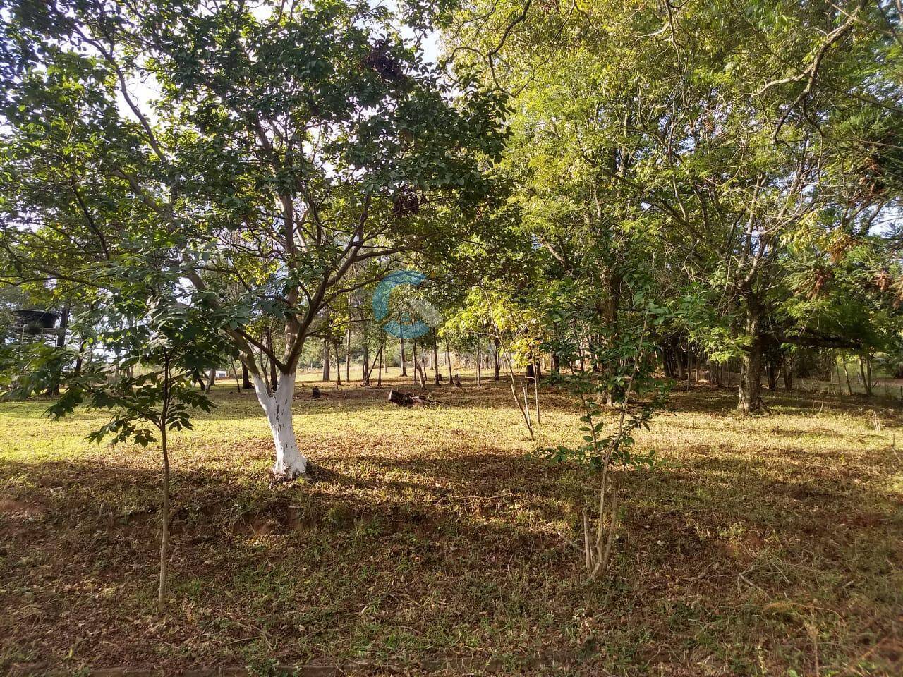 Fazenda à venda com 3 quartos, 9000m² - Foto 10