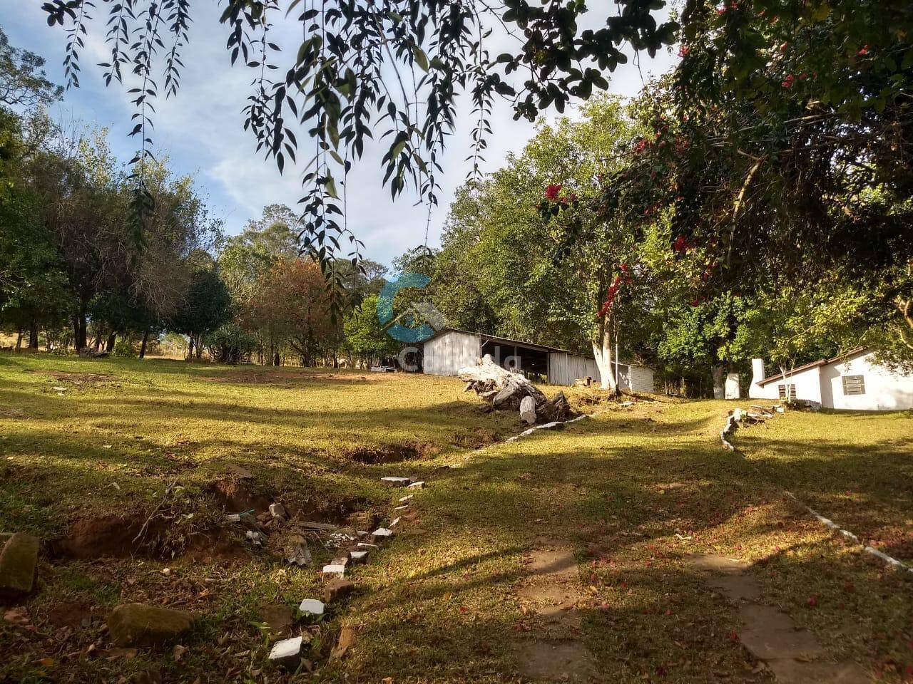 Fazenda à venda com 3 quartos, 9000m² - Foto 2