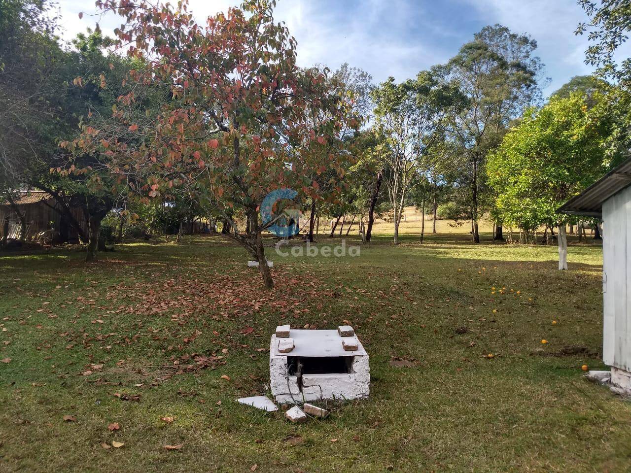 Fazenda à venda com 3 quartos, 9000m² - Foto 15