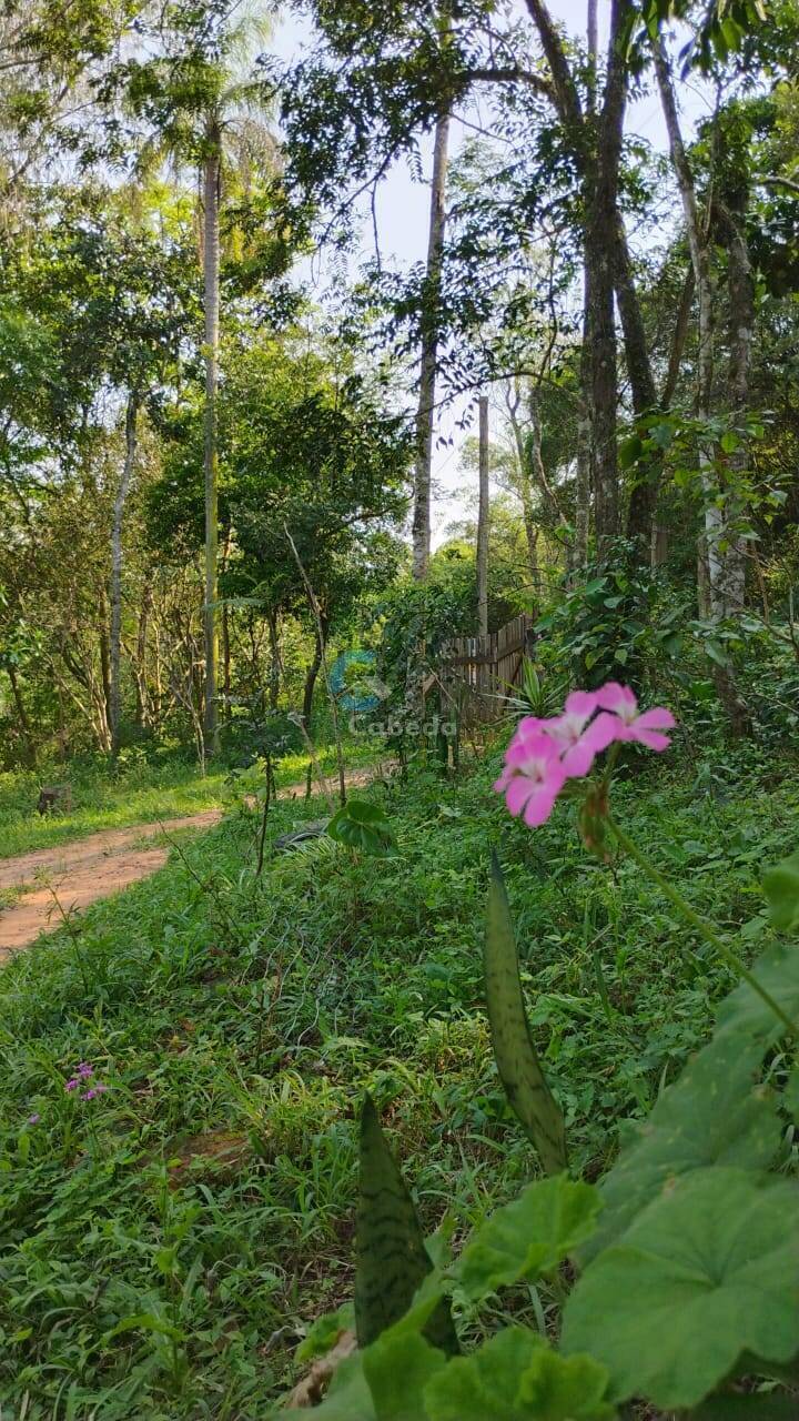 Terreno à venda, 4000m² - Foto 1